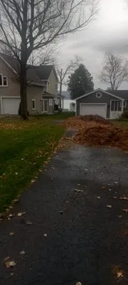 Grasshopper Lawn Care Logo