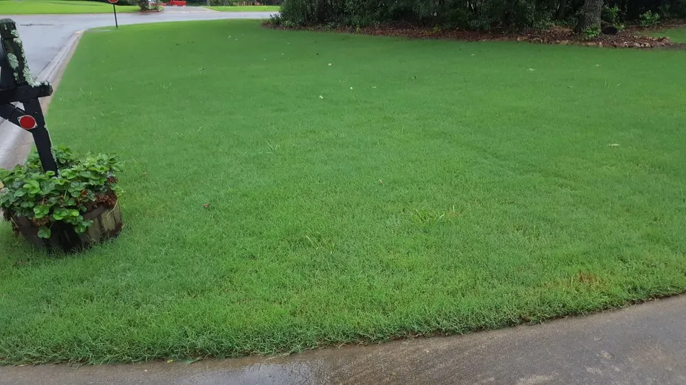 Custom outdoor landscaping for year-round maintenance in Jasper, GA by Grasshopper Lawn Care