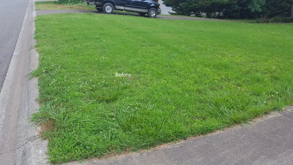 Reliable lawn care service experts serving Jasper, GA - Grasshopper Lawn Care