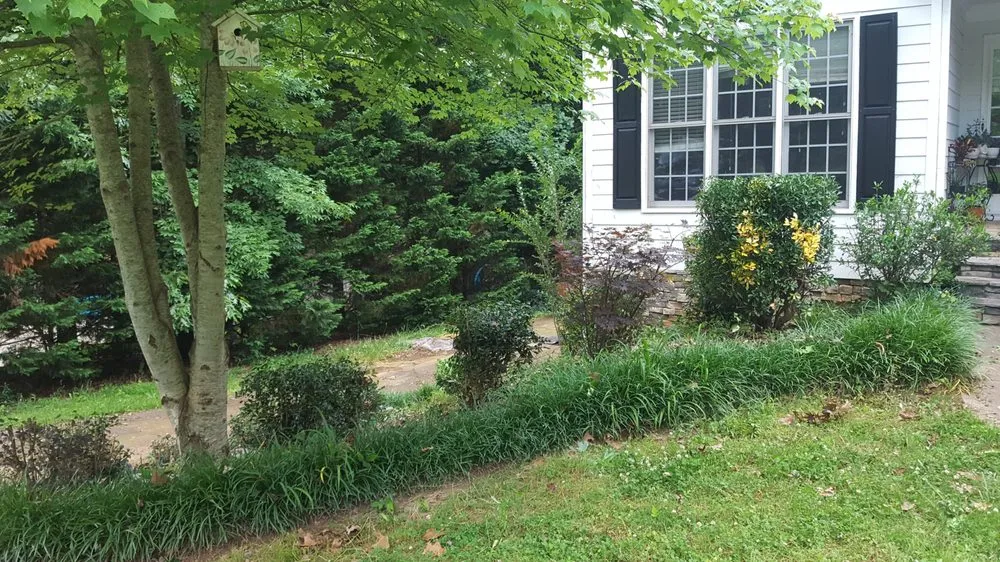 Expert landscape design experts serving Jasper, GA - Grasshopper Lawn Care