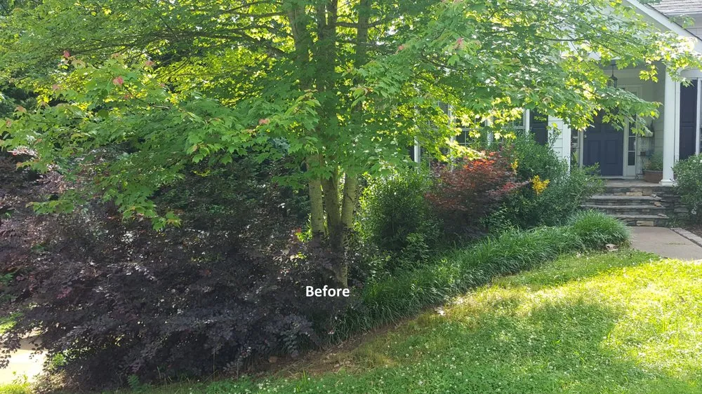 Top-rated garden landscaping in Jasper, GA - Grasshopper Lawn Care