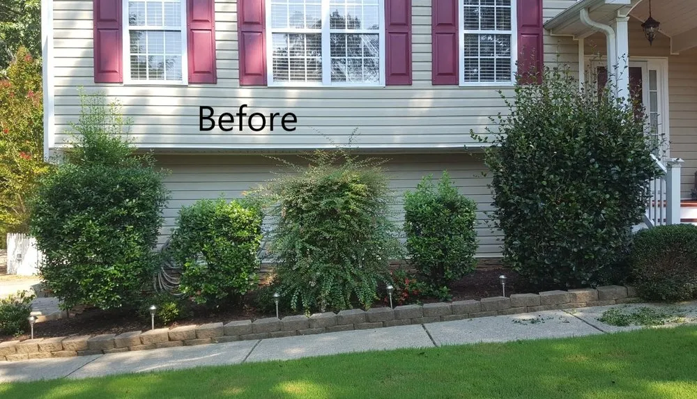 Trusted yard cleanup service near you across Jasper, GA - Grasshopper Lawn Care