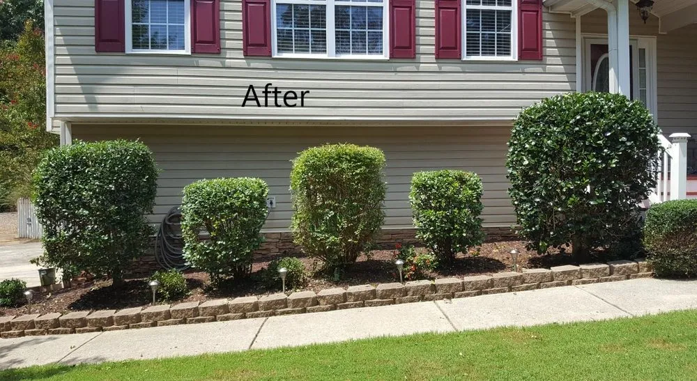 Expert residential landscaping experts serving Jasper, GA - Grasshopper Lawn Care