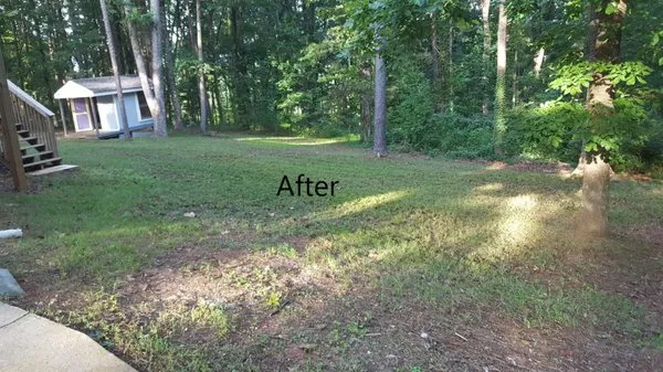 Grasshopper Lawn Care Logo