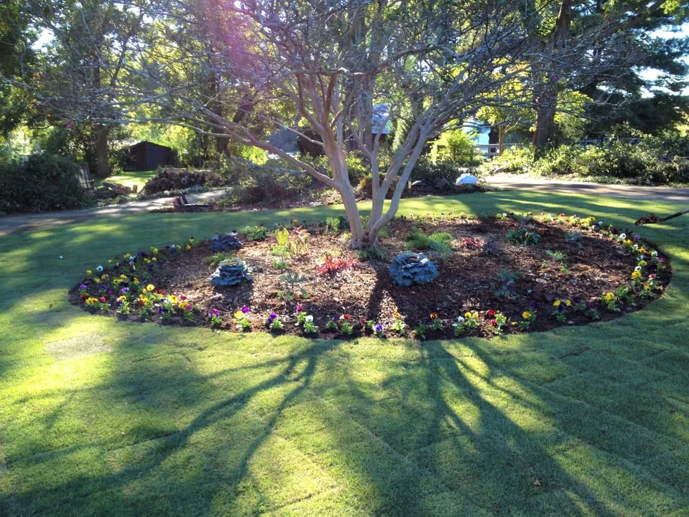 Expert yard cleanup service experts serving Lilburn, GA - Grasshopper Lawn Care