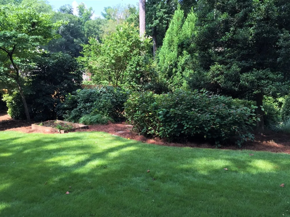 Expert yard maintenance for outdoor upgrades in Lilburn, GA by Grasshopper Lawn Care