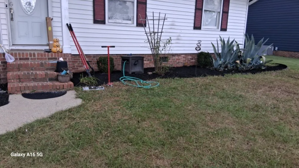 Trusted yard cleanup service in lexington, SC by Grasshopper Lawn Care Service