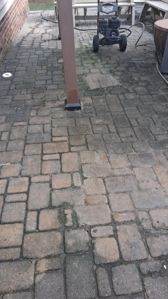 Top-rated yard maintenance in lexington, SC by Grasshopper Lawn Care Service