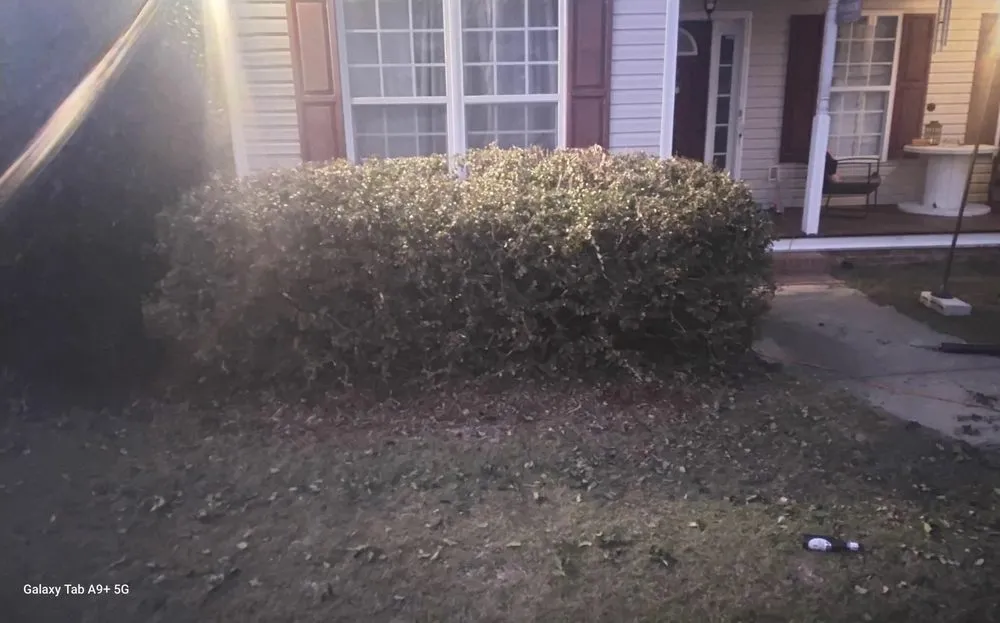 Affordable landscaping services in lexington, SC - Grasshopper Lawn Care Service