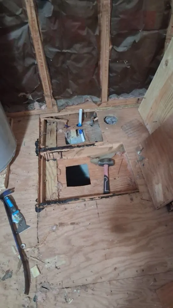 Trusted outdoor landscaping for homes in lexington, SC by Grasshopper Lawn Care Service