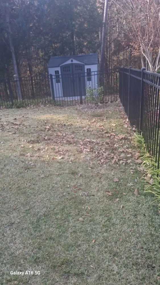 Professional yard cleanup service in lexington, SC - Grasshopper Lawn Care Service