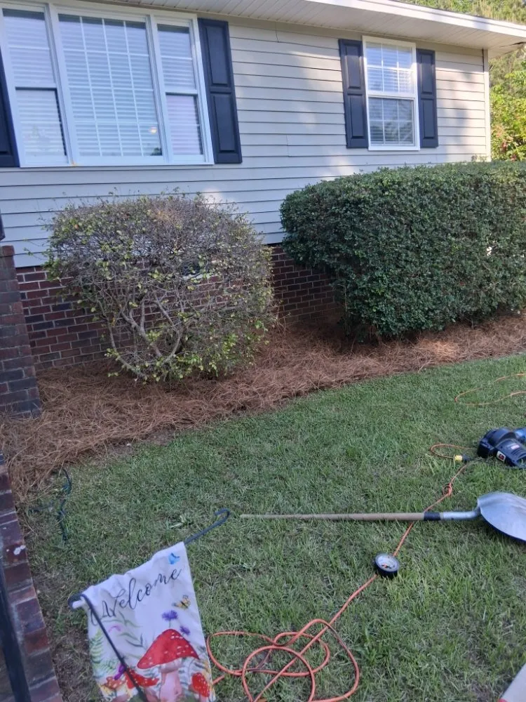 Top-rated residential landscaping in lexington, SC by Grasshopper Lawn Care Service