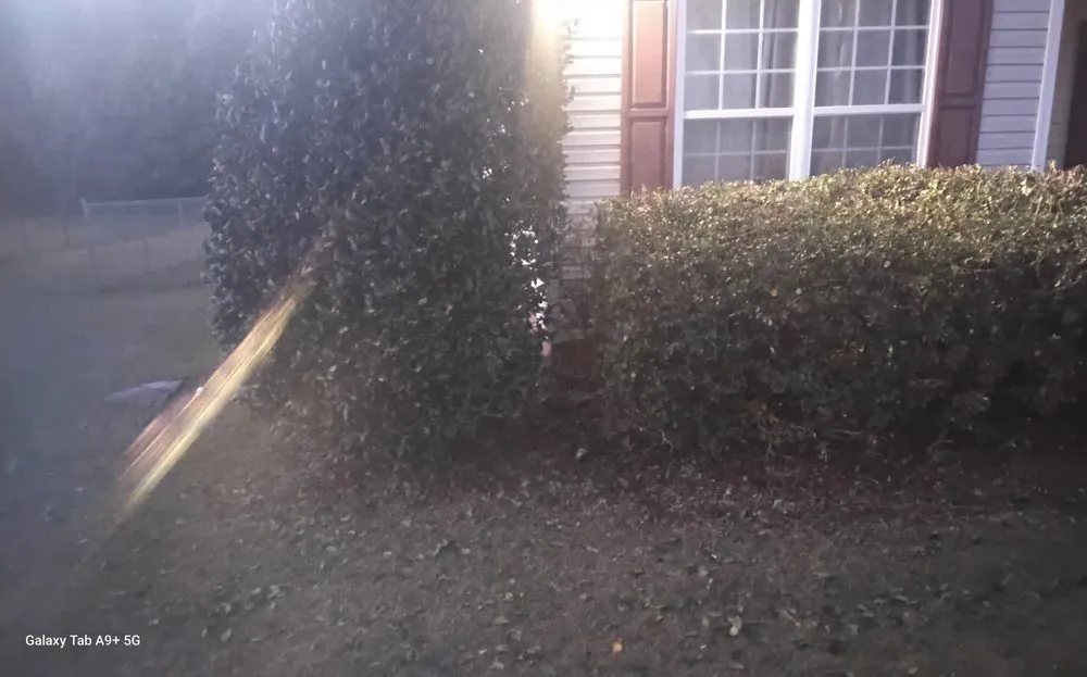 Local residential landscaping in lexington, SC - Grasshopper Lawn Care Service