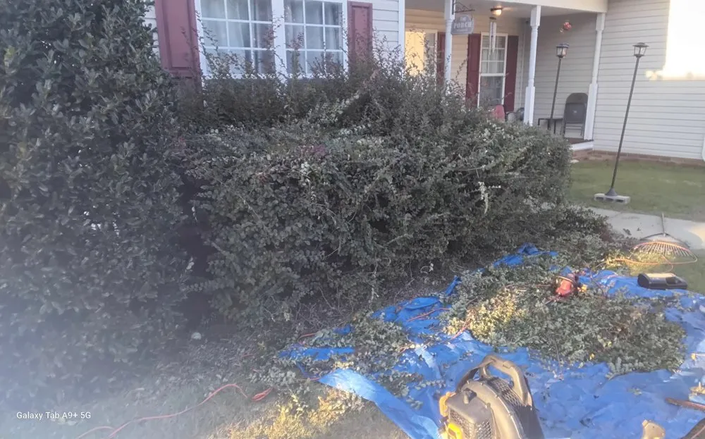 Custom garden landscaping in lexington, SC by Grasshopper Lawn Care Service