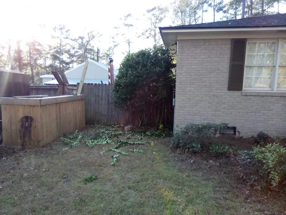 Professional yard cleanup service for beautiful yards across lexington, SC - Grasshopper Lawn Care Service