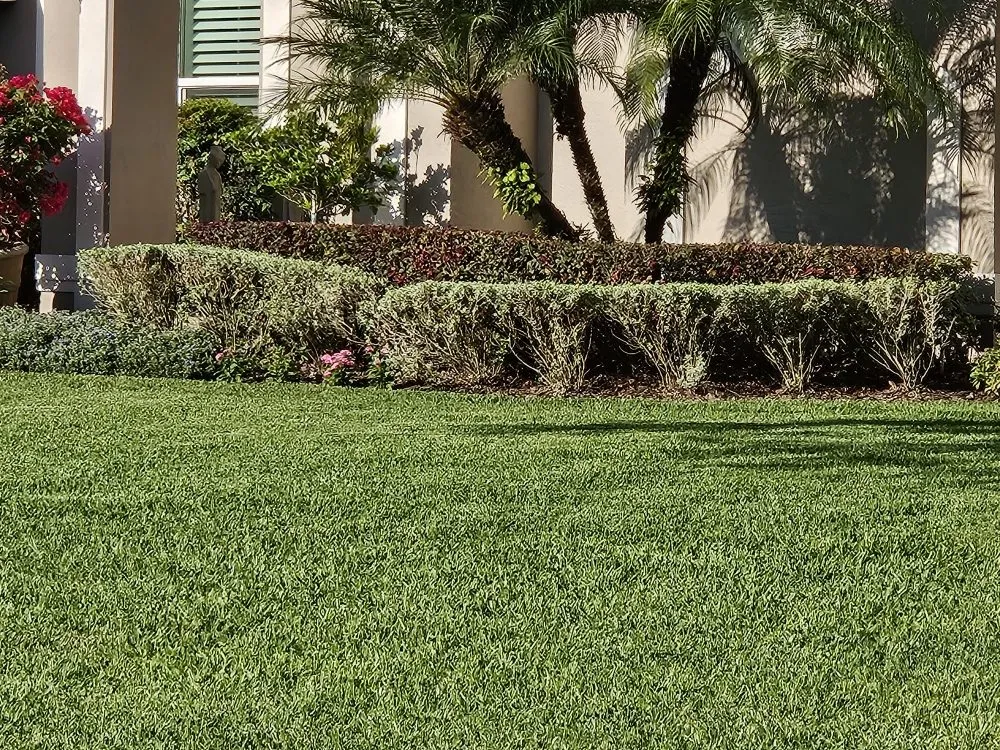 Reliable outdoor landscaping experts serving Lakeland, FL - Grasshopper Lawn