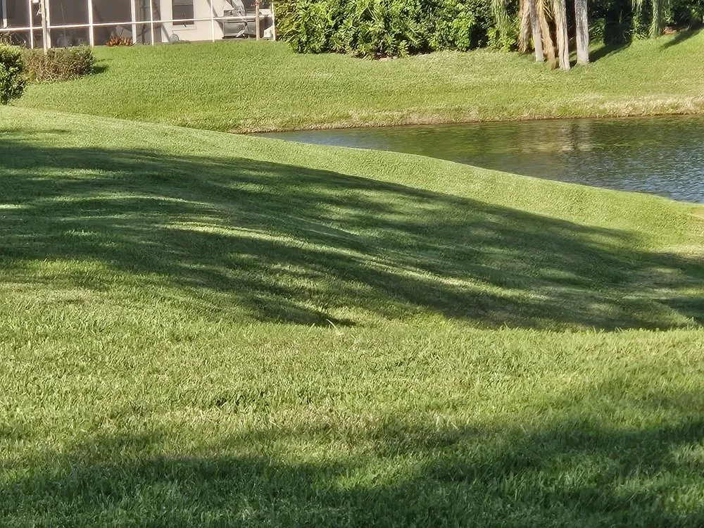 Reliable landscaping services in Lakeland, FL - Grasshopper Lawn