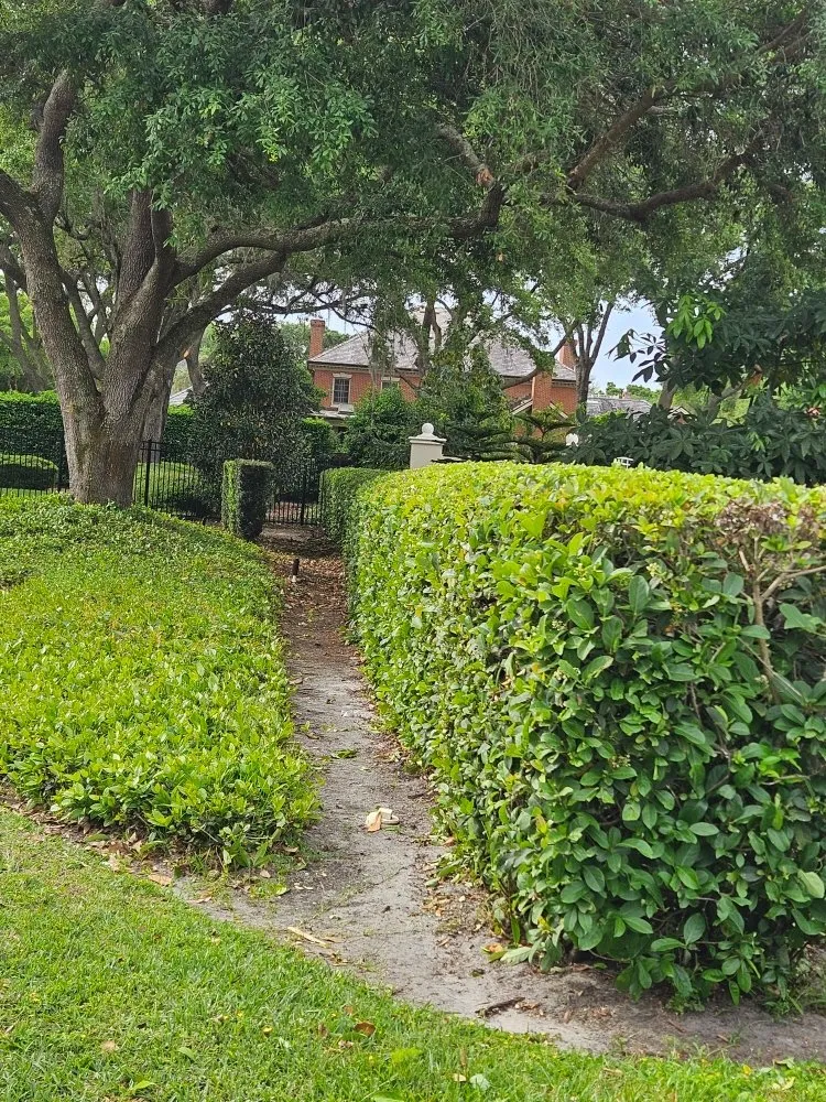 Local outdoor landscaping in Lakeland, FL by Grasshopper Lawn