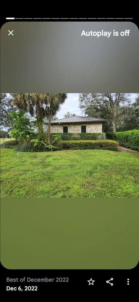 Reliable yard cleanup service for year-round maintenance across Lakeland, FL - Grasshopper Lawn