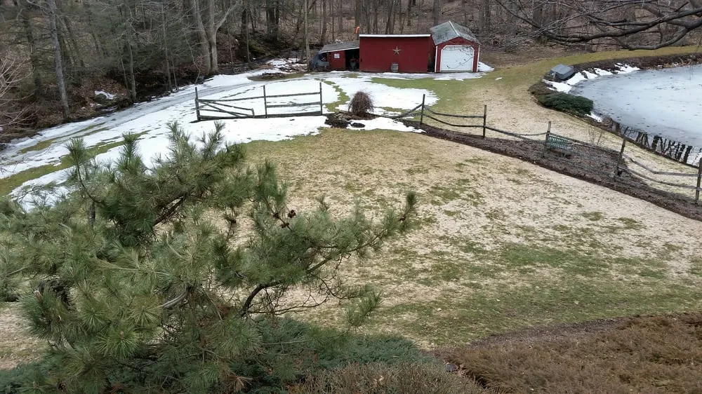 Trusted lawn care service in Larksville, PA - Grasshopper Lawns