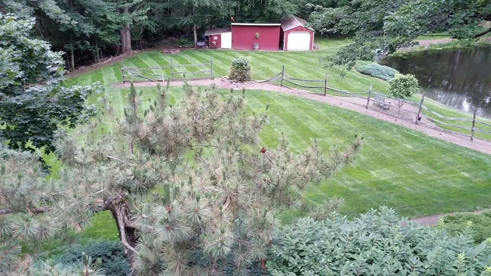 Local residential landscaping for outdoor upgrades across Larksville, PA - Grasshopper Lawns