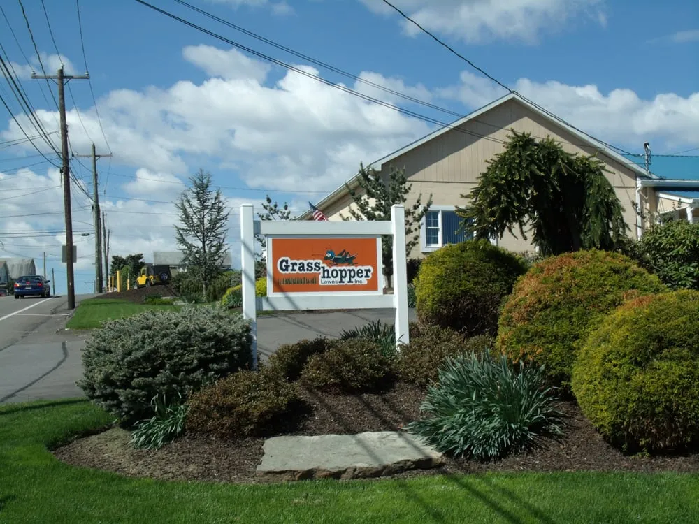 Local yard cleanup service in Larksville, PA by Grasshopper Lawns