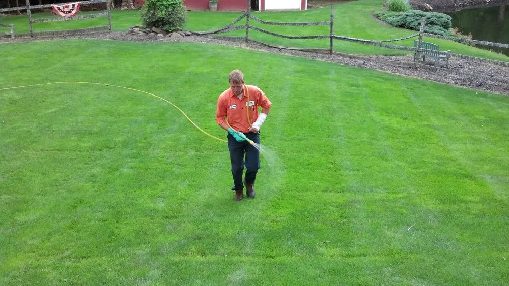 Custom yard cleanup service experts serving Larksville, PA - Grasshopper Lawns