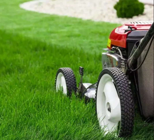 Local landscape installation in Plant City, FL by Grasshopper of Florida