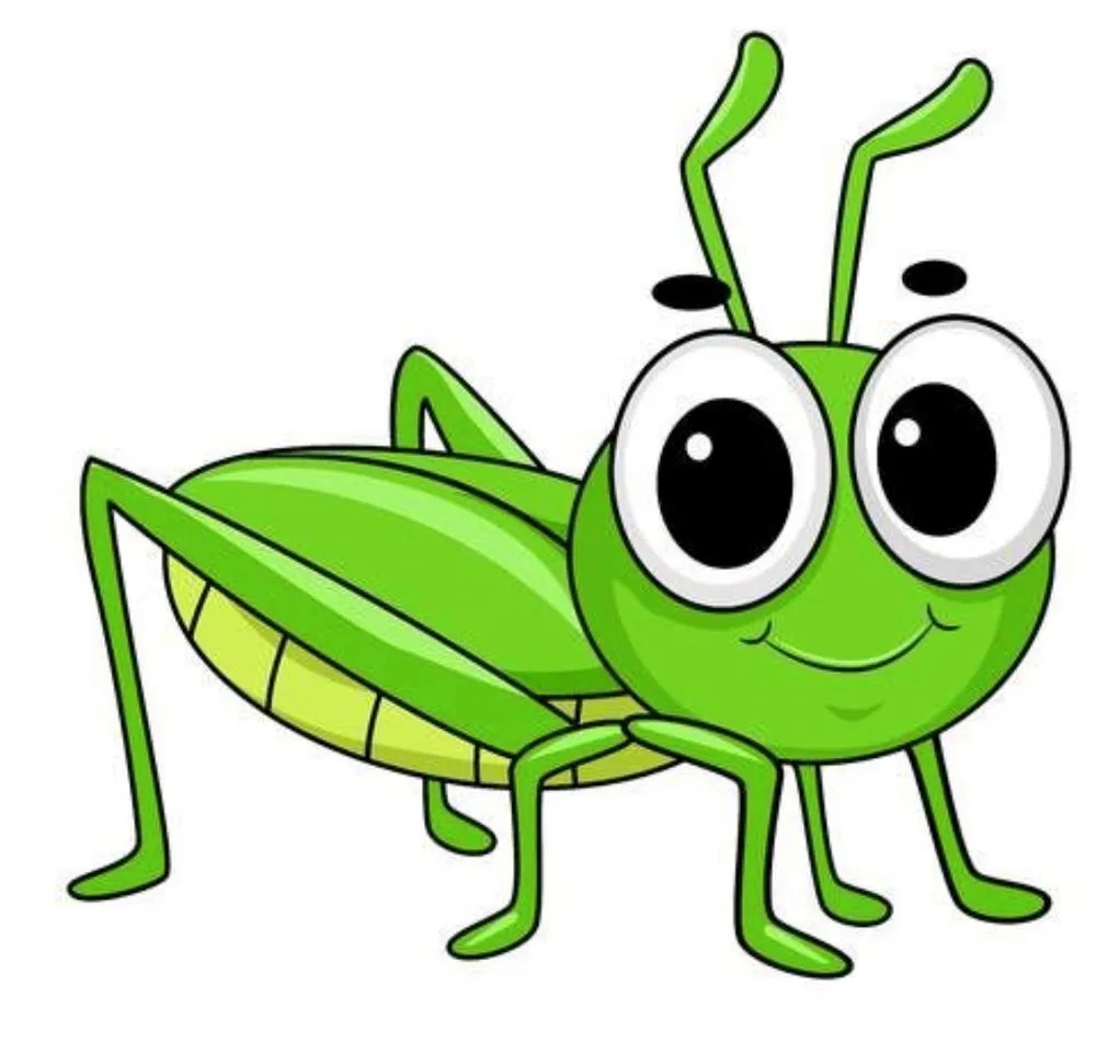 Local yard cleanup service in Plant City, FL by Grasshopper of Florida