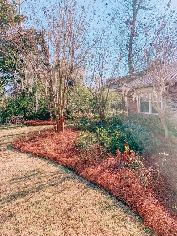 Custom residential landscaping for beautiful yards in Panama City, FL by Grasshopper