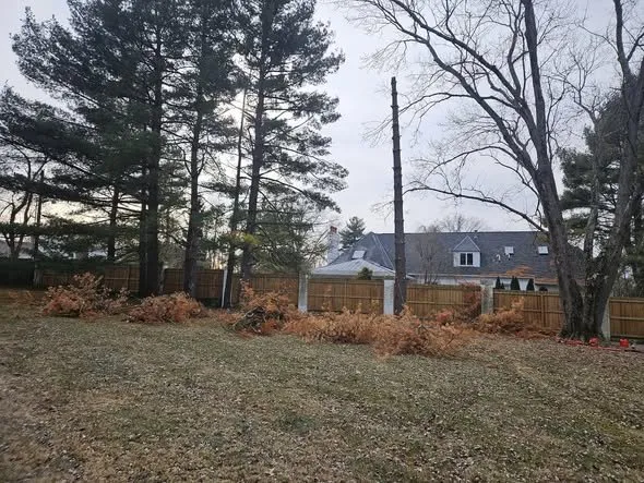 Local landscape installation experts serving Bloomington, IN - Grasshopper Tree & Landscape