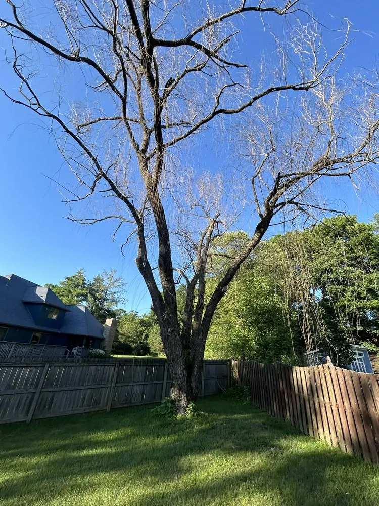 Custom landscaping services experts serving Bloomington, IN - Grasshopper Tree & Landscape