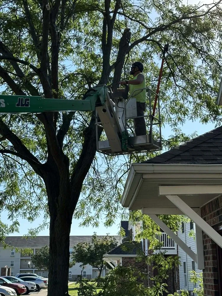 Expert lawn mowing service for year-round maintenance in Bloomington, IN by Grasshopper Tree & Landscape