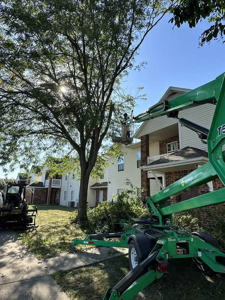 Expert garden landscaping for outdoor upgrades across Bloomington, IN - Grasshopper Tree & Landscape