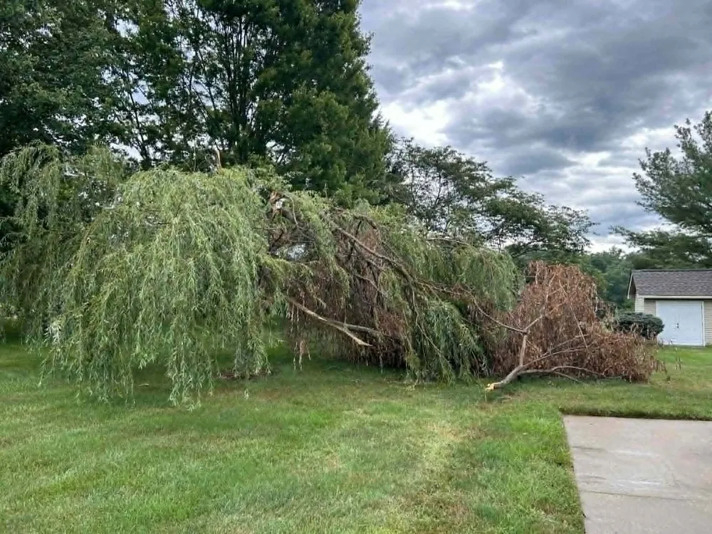 Top-rated lawn mowing service in Bloomington, IN by Grasshopper Tree & Landscape