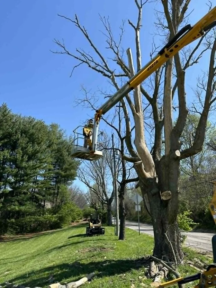 Expert landscaping services experts serving Bloomington, IN - Grasshopper Tree & Landscape