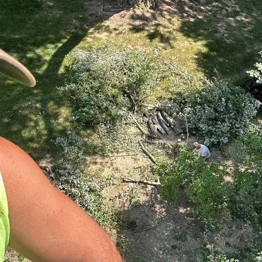 Reliable lawn mowing service in Bloomington, IN - Grasshopper Tree & Landscape