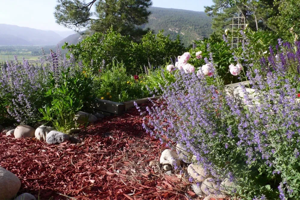 Trusted residential landscaping for homes across Durango, CO - Grasshoppers