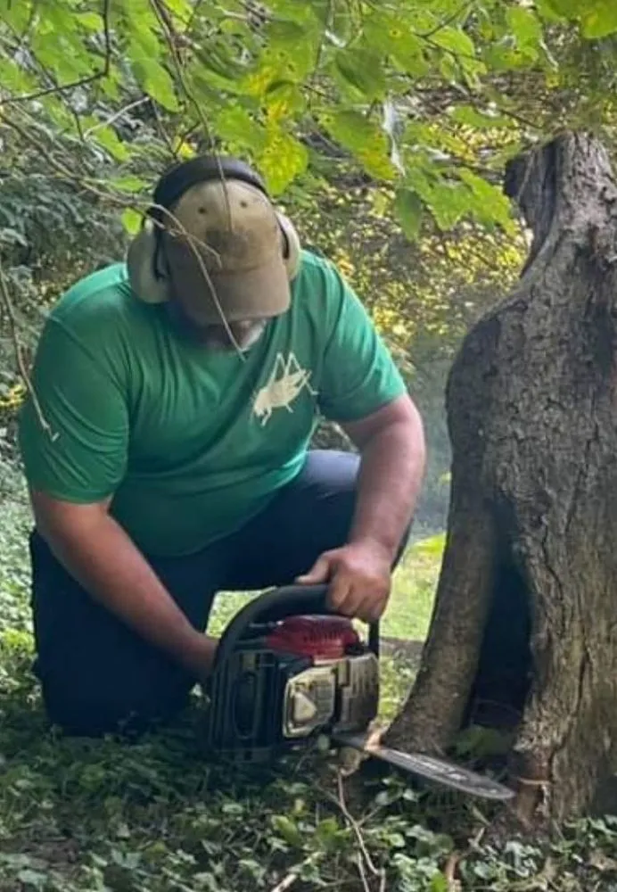 Top-rated landscape installation experts serving Newport, KY - Grasshoppers Lawn Care and Home Maintenance