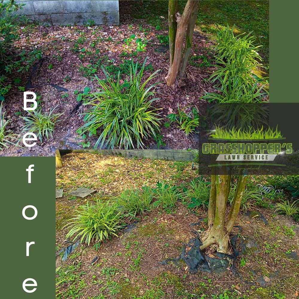 Expert yard maintenance for residential properties in Arab, AL by Grasshopper’s Lawn Service