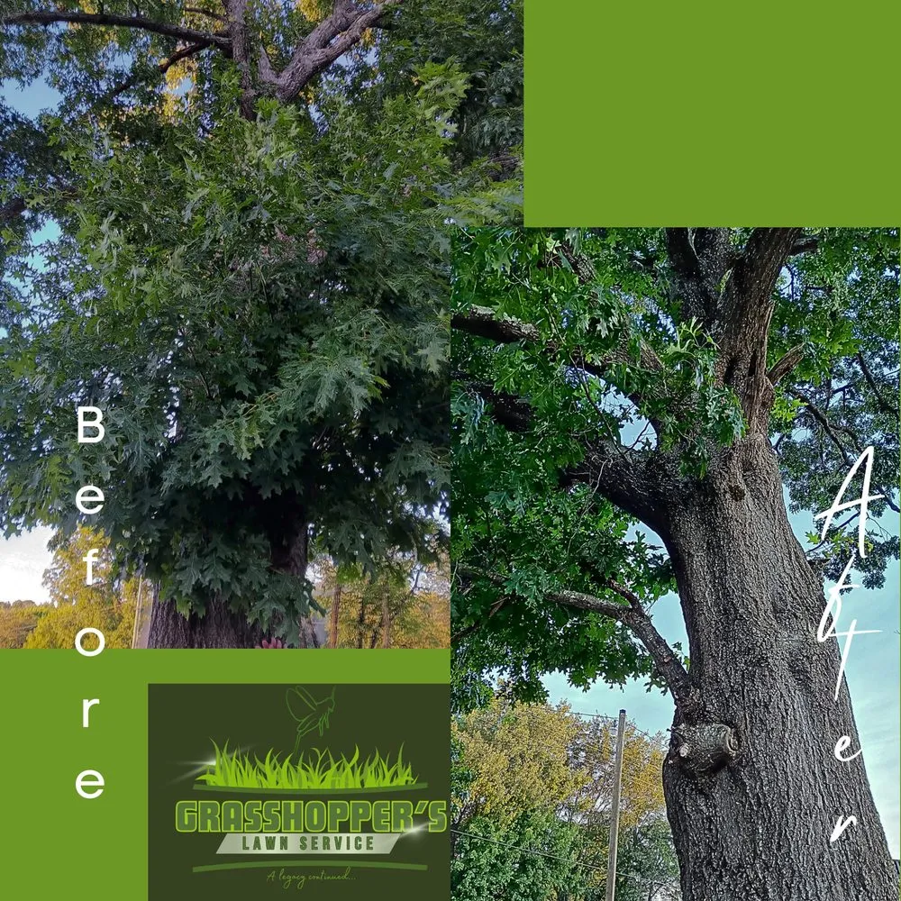 Local landscape design for homes in Arab, AL by Grasshopper’s Lawn Service