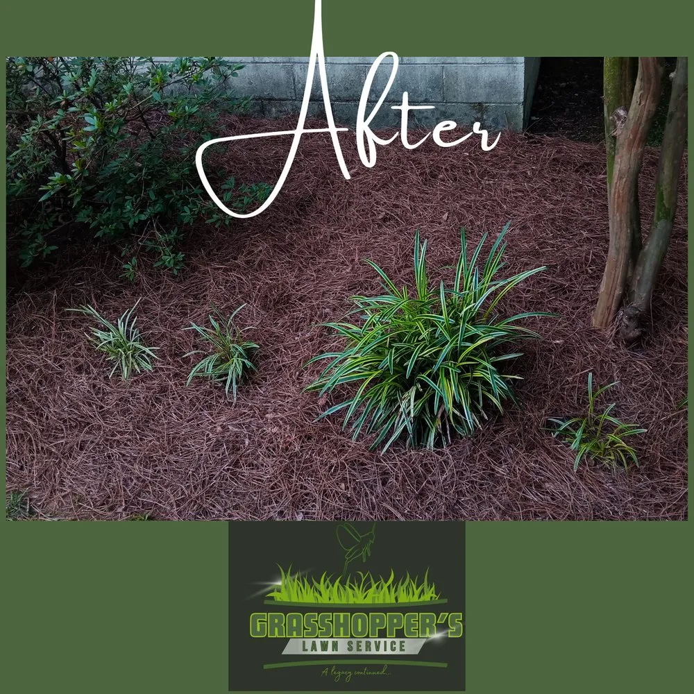 Custom yard cleanup service in Arab, AL by Grasshopper’s Lawn Service