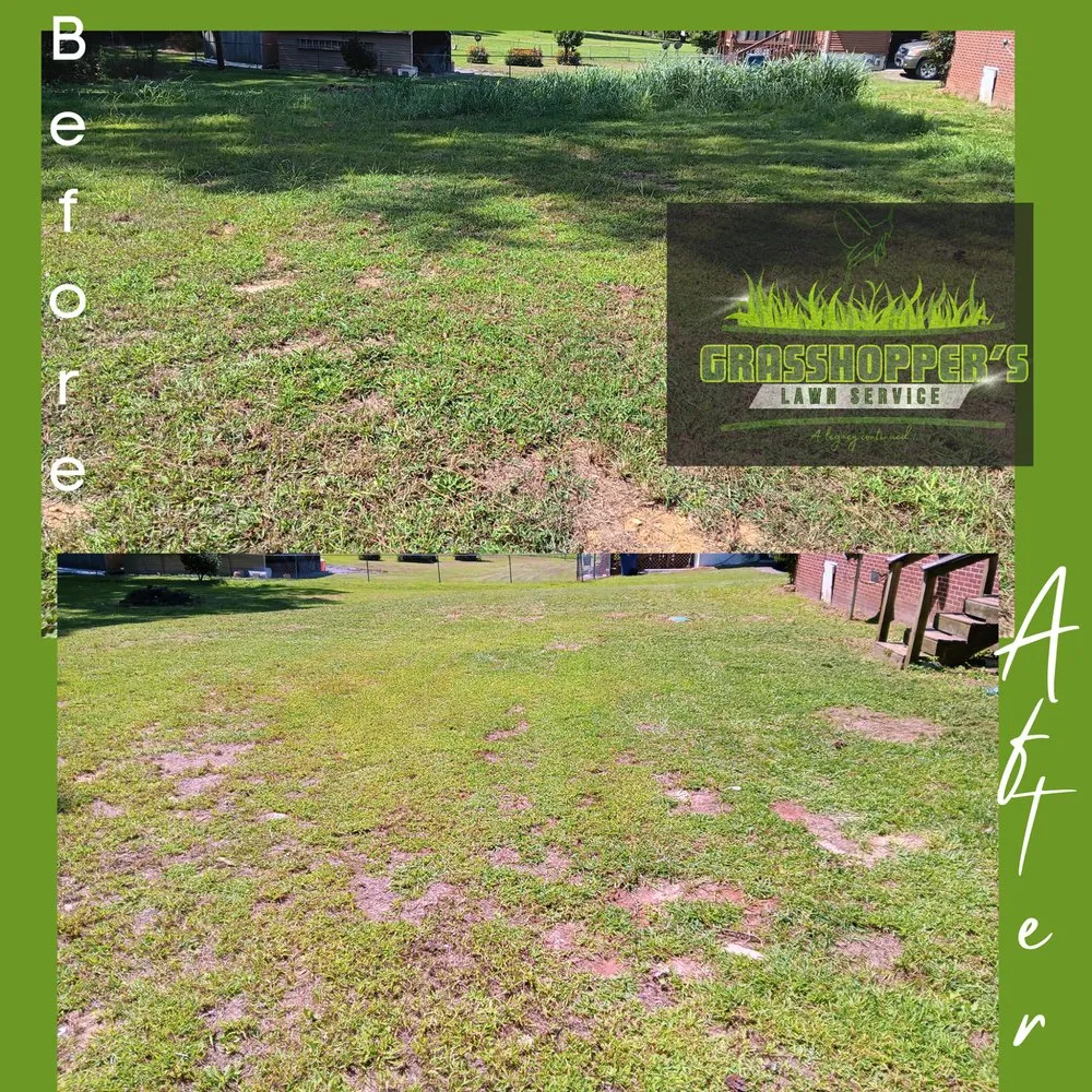 Professional yard cleanup service for outdoor upgrades in Arab, AL by Grasshopper’s Lawn Service