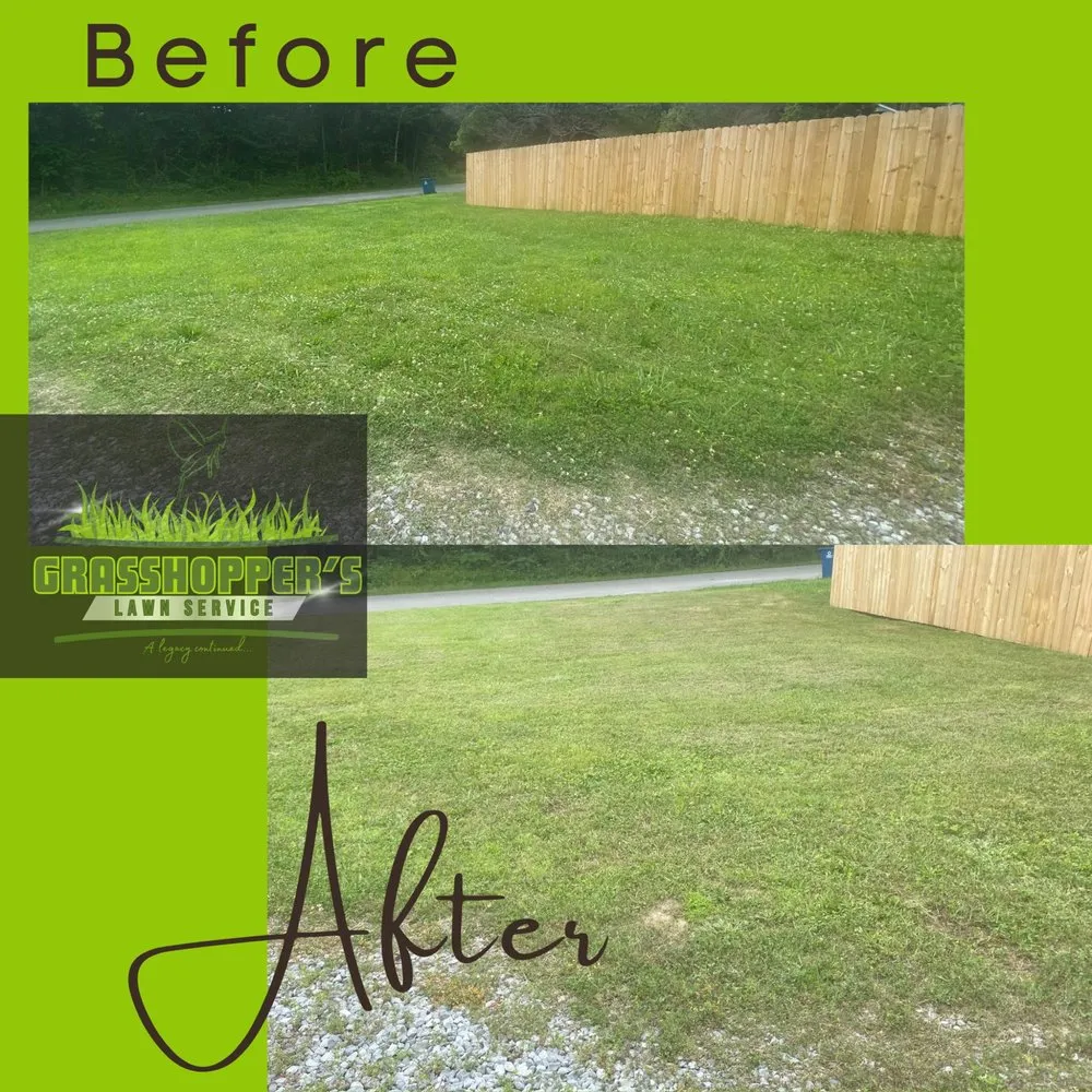 Reliable yard cleanup service for year-round maintenance in Arab, AL by Grasshopper’s Lawn Service