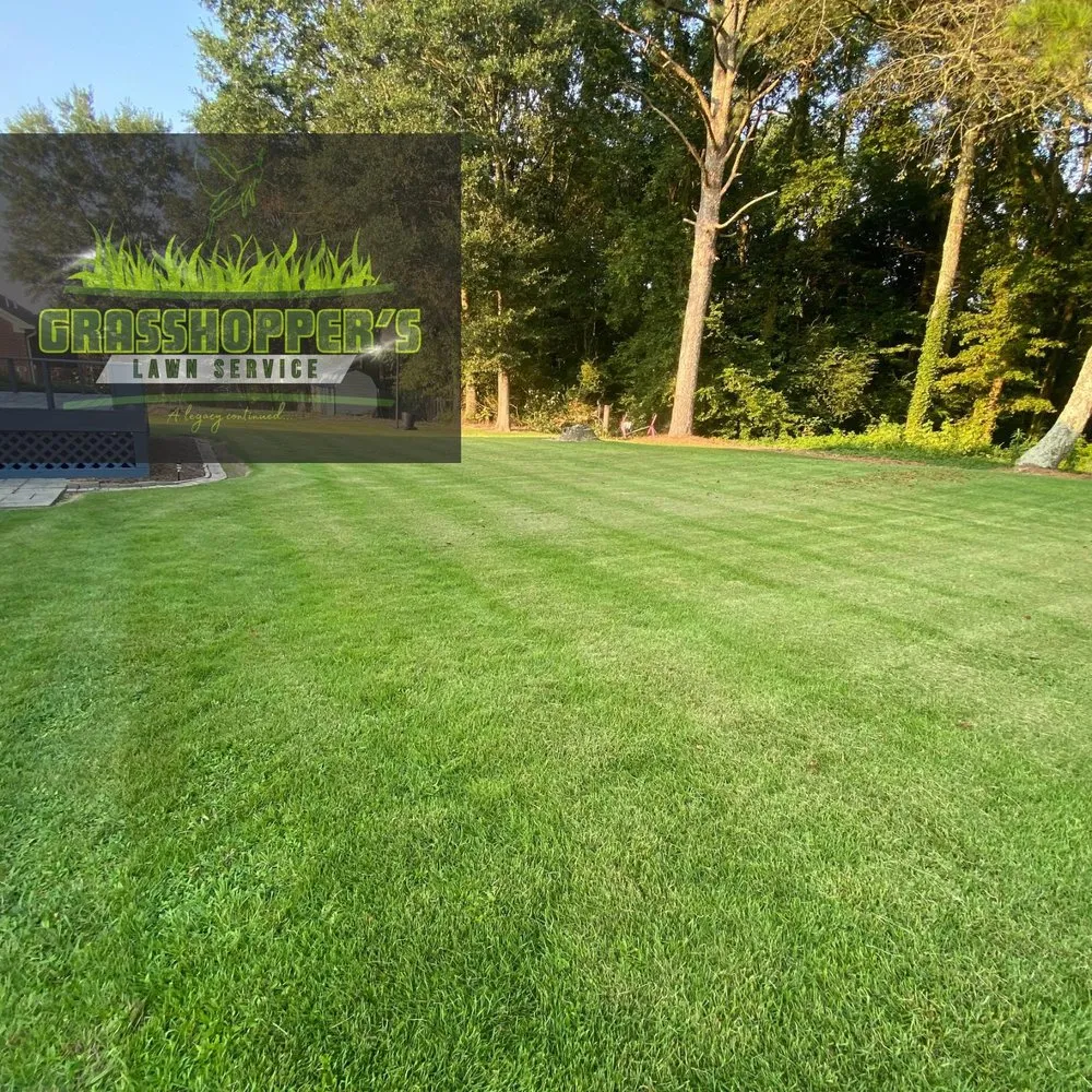 Reliable lawn mowing service near you across Arab, AL - Grasshopper’s Lawn Service