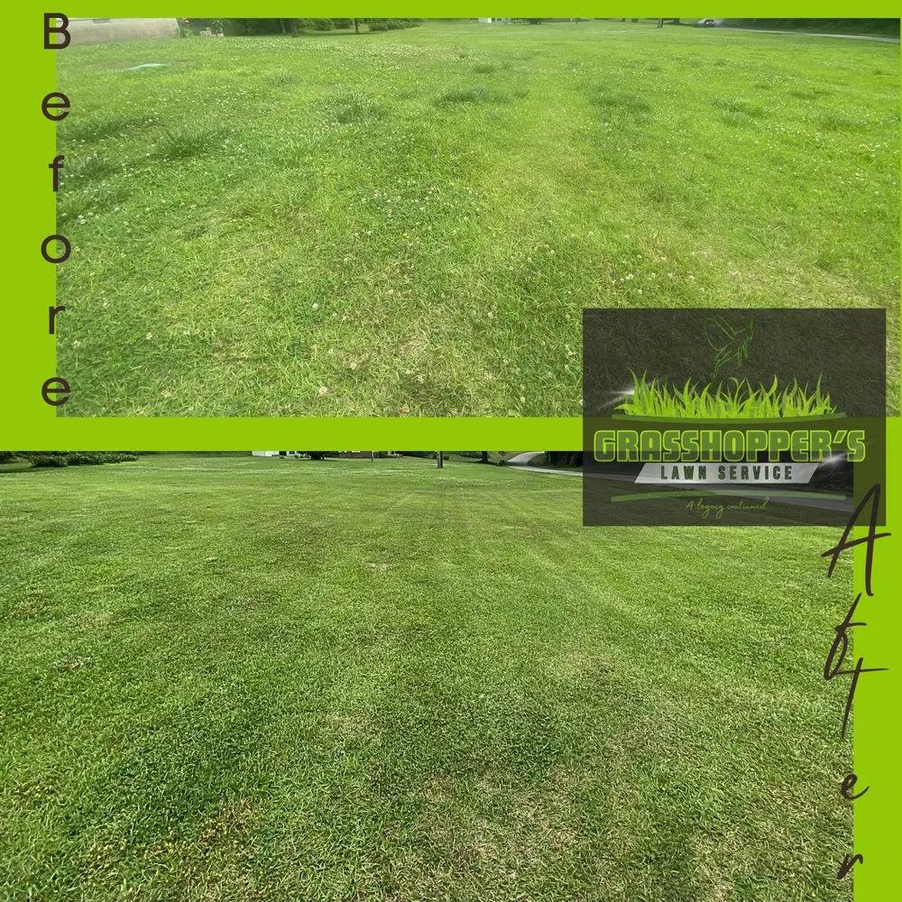 Expert landscaping services in Arab, AL by Grasshopper’s Lawn Service