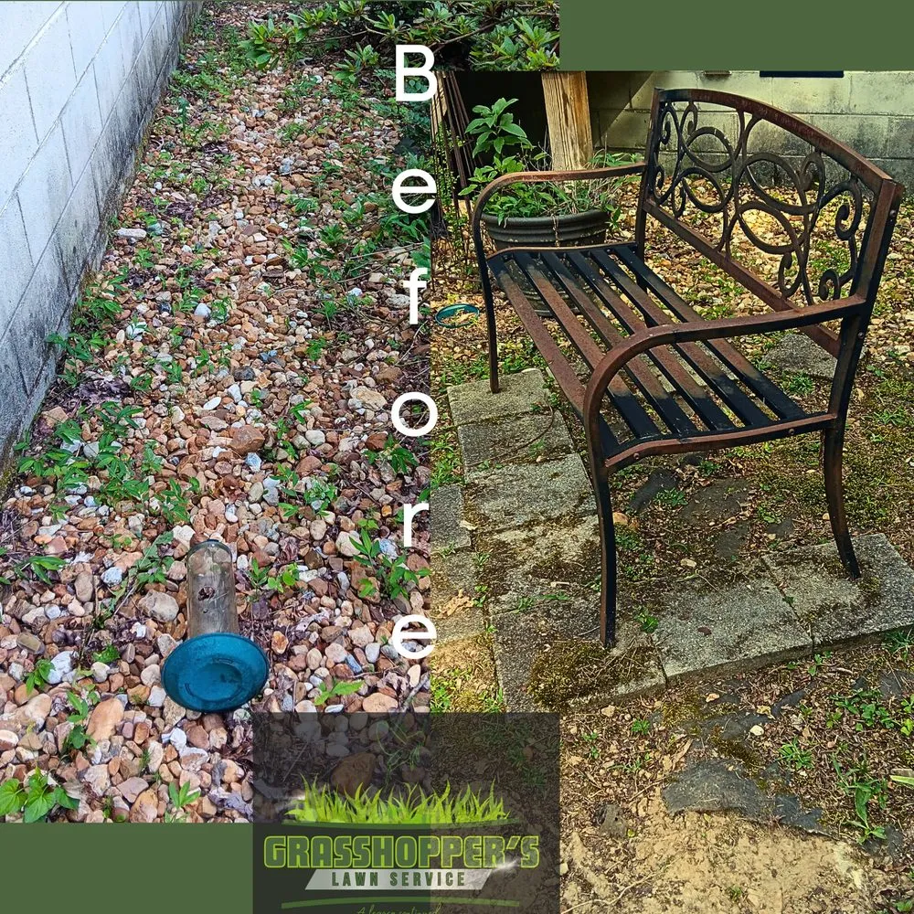 Expert yard maintenance in Arab, AL - Grasshopper’s Lawn Service