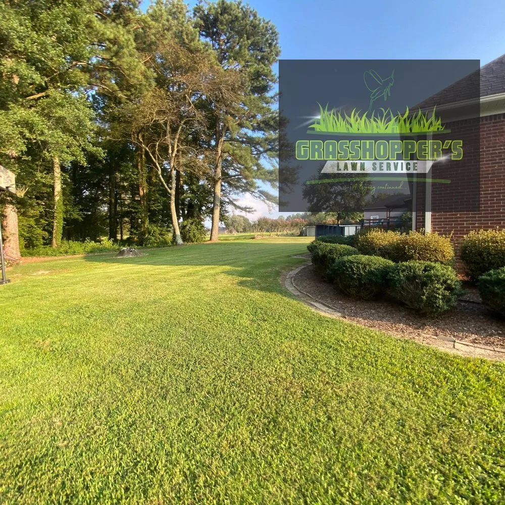 Custom lawn care service for year-round maintenance in Arab, AL by Grasshopper’s Lawn Service