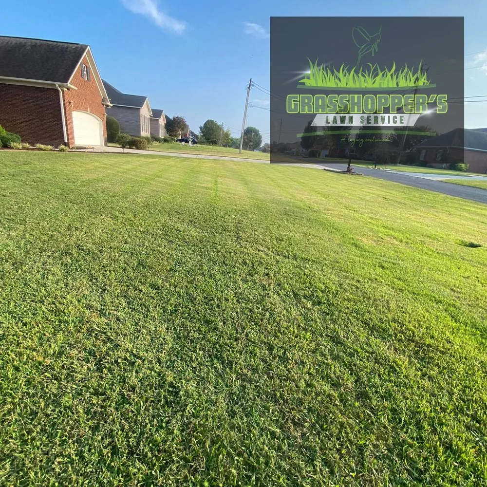 Professional residential landscaping for beautiful yards across Arab, AL - Grasshopper’s Lawn Service