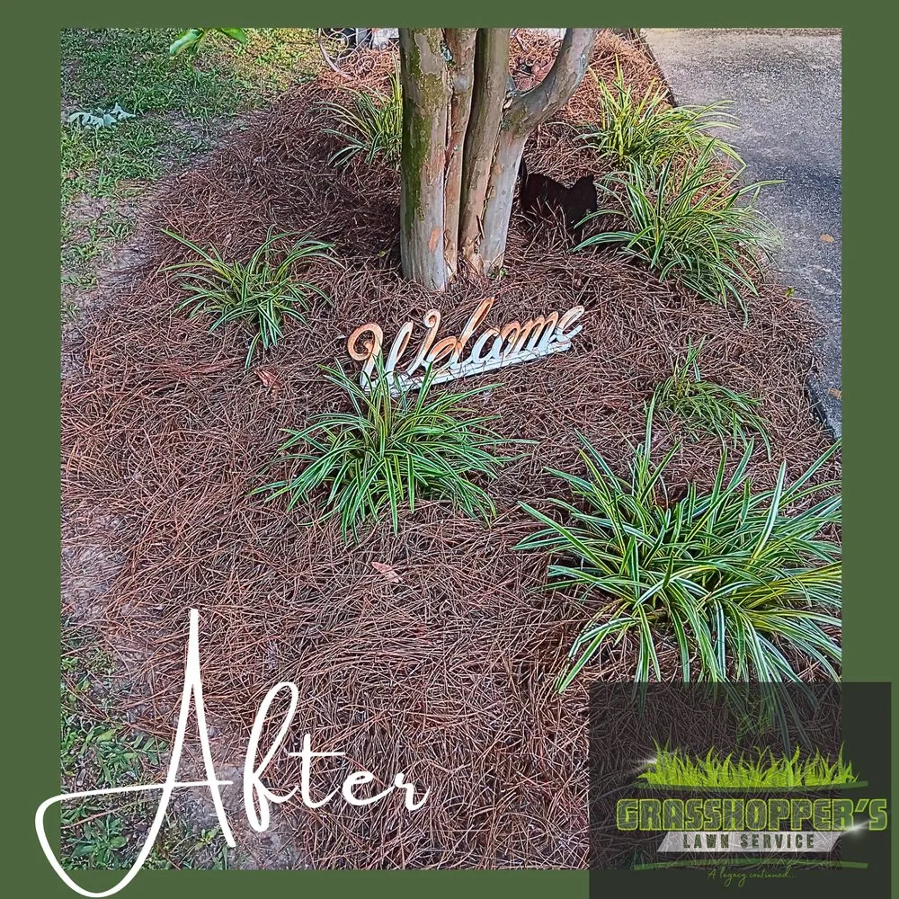 Expert yard maintenance near you across Arab, AL - Grasshopper’s Lawn Service